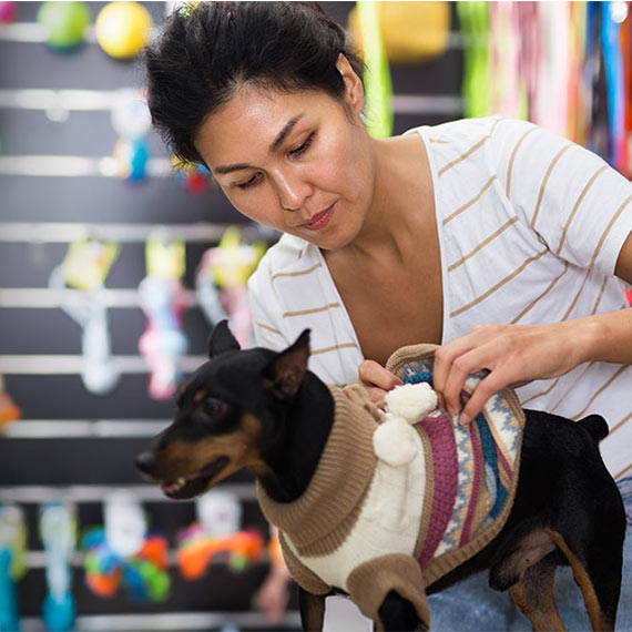 PetStorePro imgage
